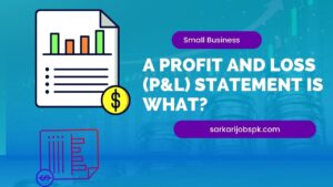 A Profit and Loss (P&L) Statement is what?