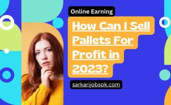 How Can I Sell Pallets For Profit in 2023?
